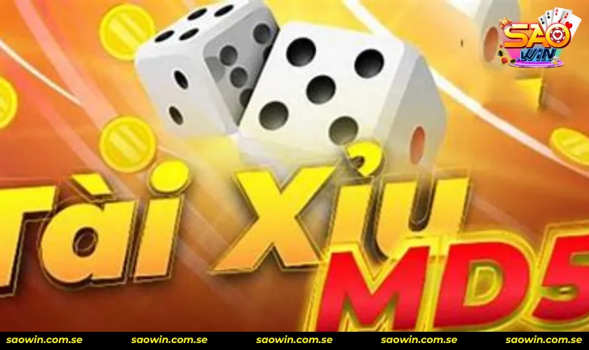Luật chơi tài xỉu MD5 thú vị và hấp dẫn